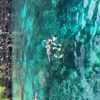 people swimming in clear hawaii waterss
