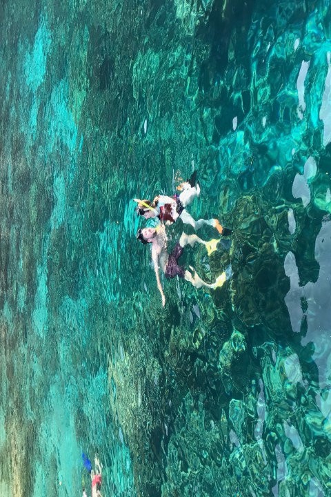 people swimming in clear hawaii waterss