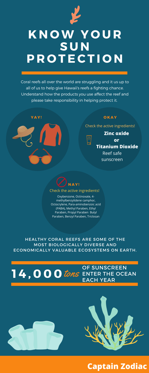 flier with information about sunscreen