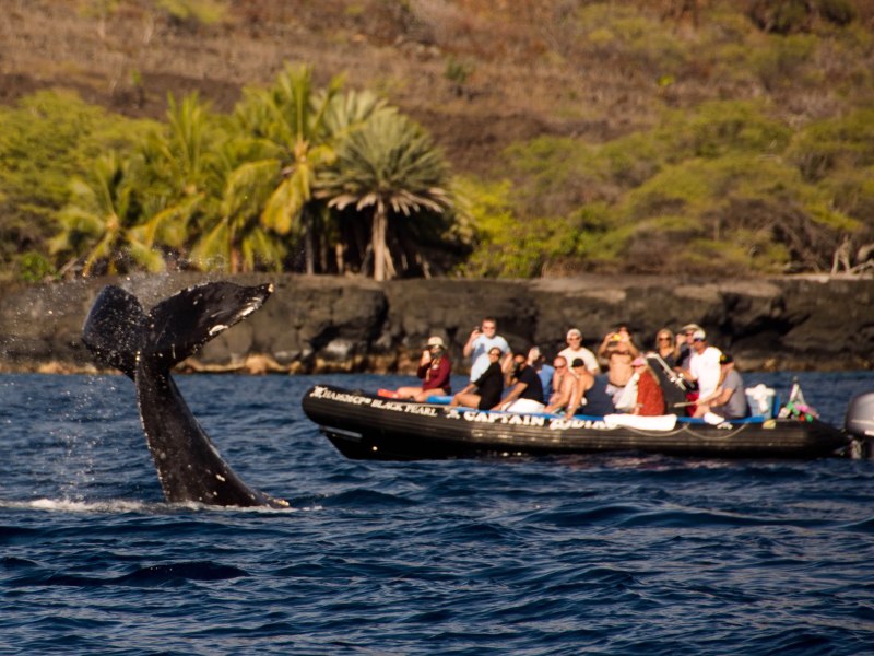 a group of people riding on the back of a boat in the water