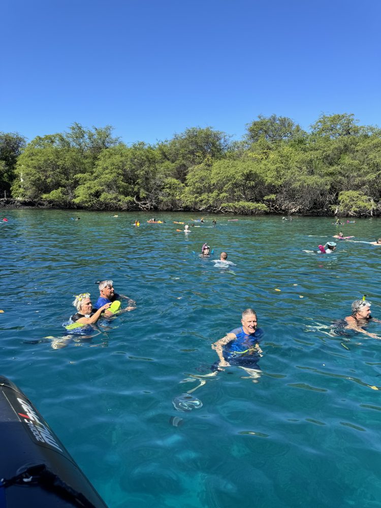 a group of people swimming in a body of water
