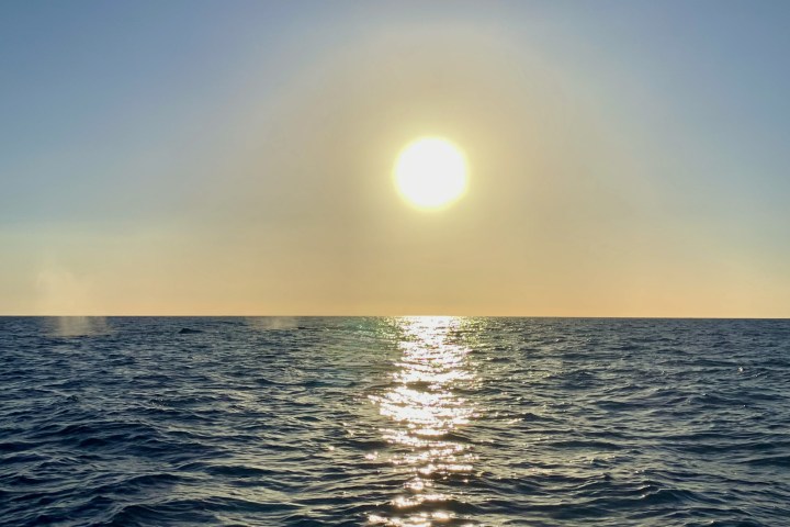 Sunset over calm ocean with glowing water reflections.